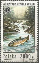 Polonia #3086  1992