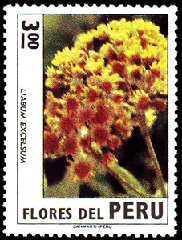 PERU #602 1973  Usada