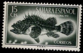 Sahara Español #70  1953