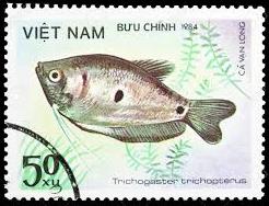 Viet Nam #1405  1984