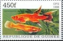 Guinea  Mi#1891  1998