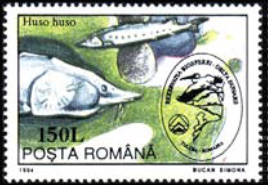 RUMANIA #3939 1994