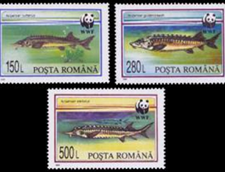 RUMANIA #3954 - 3956  1994  Usadas