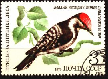 RUSIA #4777  1979  USADA