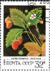 RUSIA #5027 1982