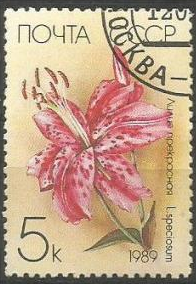 RUSIA #5757  1989  USADA