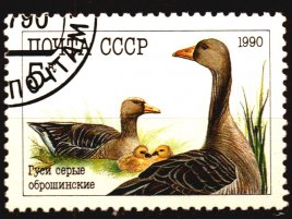 RUSIA #5909  1990 USADA