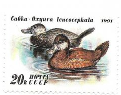 RUSIA #6011  1990  USADA