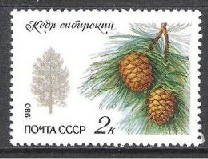Rusia #4871  1980