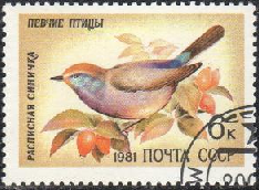 Rusia #4972  1981 "Carricero de ceja blanca"