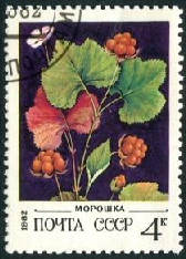 Rusia #5023 1981