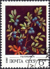 Rusia #5024 1981