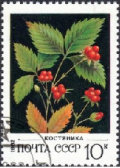 Rusia #5025 1981