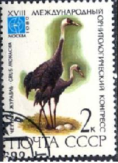 Rusia #5050  1982