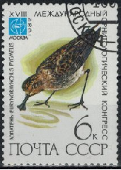 Rusia #5052  1982