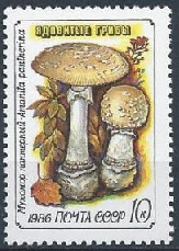 Rusia #5456  1987