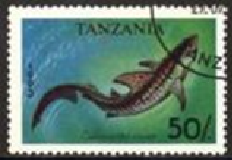 TANZANIA #1138 1993