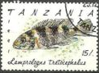TANZANIA #817  1992