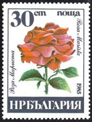 Bulgaria #3078 1985 Usada
