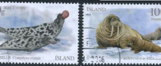 Islandia #1280 - 1281 2012 Serie completa "Foca encapuchada y Morsa"
