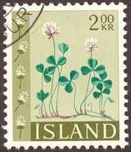 Islandia #366 1964