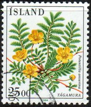Islandia #587 1984
