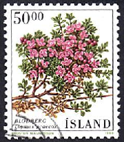 Islandia #664 1988