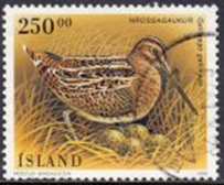 Islandia # 809  1996  "Agachadiza común"