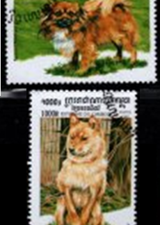 CAMBODIA #1806 - 1807  1999