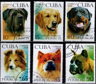 Cuba #4851 - 4856 - 2008 Serie completa "Razas caninas"