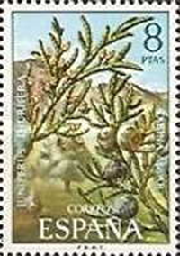España # 1716  1972   Usada