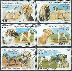 Sahara Occidental CN#EH07.1 - EH07.6 1996 Serie completa Cinderella