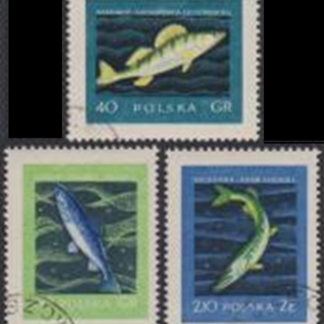 Polonia #810 - 812  1958