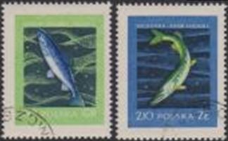 Polonia #811 - 812  1958