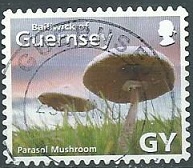 Guernsey #925e 2007