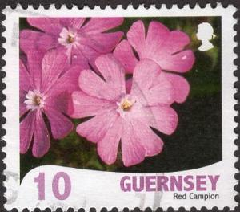 Guernsey #978 2008