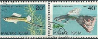 Hungria #1437 - 1438 1961