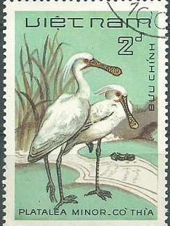 Viet Nam #1344 1983 "Espátula de cara negra Pájaro"