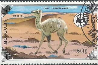 Mongolia #1446  1985