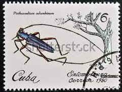 Cuba #2301  1980
