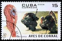 Cuba #4588 2006