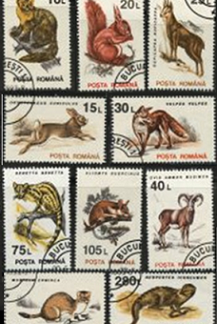 RUMANIA #3835 - 3844  1993  Serie completa "Fauna silvestre"