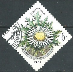 Rusia #4944 1981