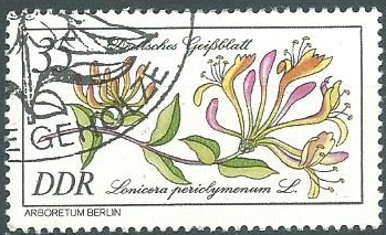 Alemania Repulica Democratica #2155 1981