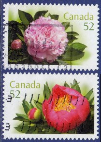 Canada #2261 - 2262 2008 Serie completa "Paeonias lactifloras"