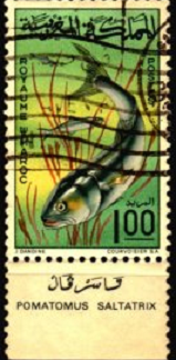 Marruecos #152  1967