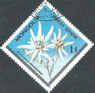 Mongolia #1061 1979