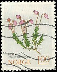 NORUEGA #628  1973