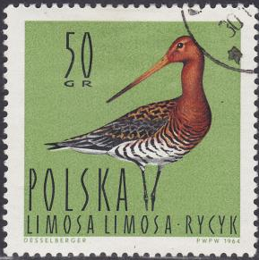 Polonia #1233  1964  "Aguja colipinta"