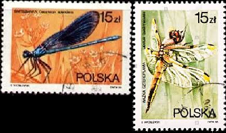 Polonia #2842 - 2843  1988